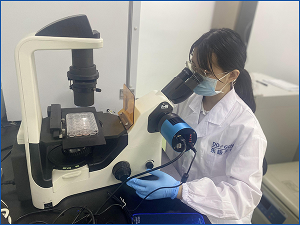 1645673125211348.jpg 5.jpg